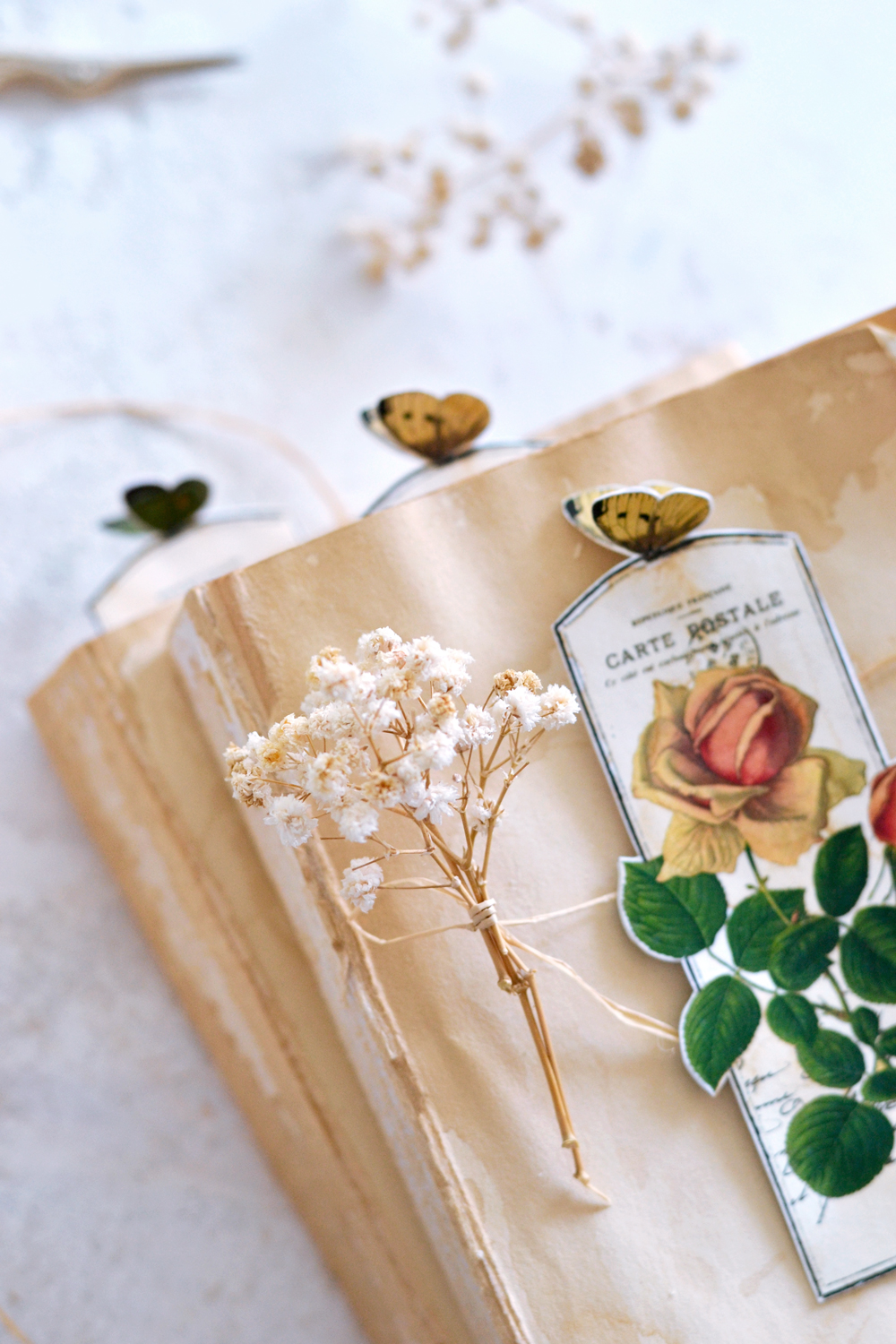 Roses and butterfly bookmarks with flowers and book