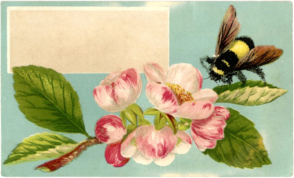 bumblebee label flower image