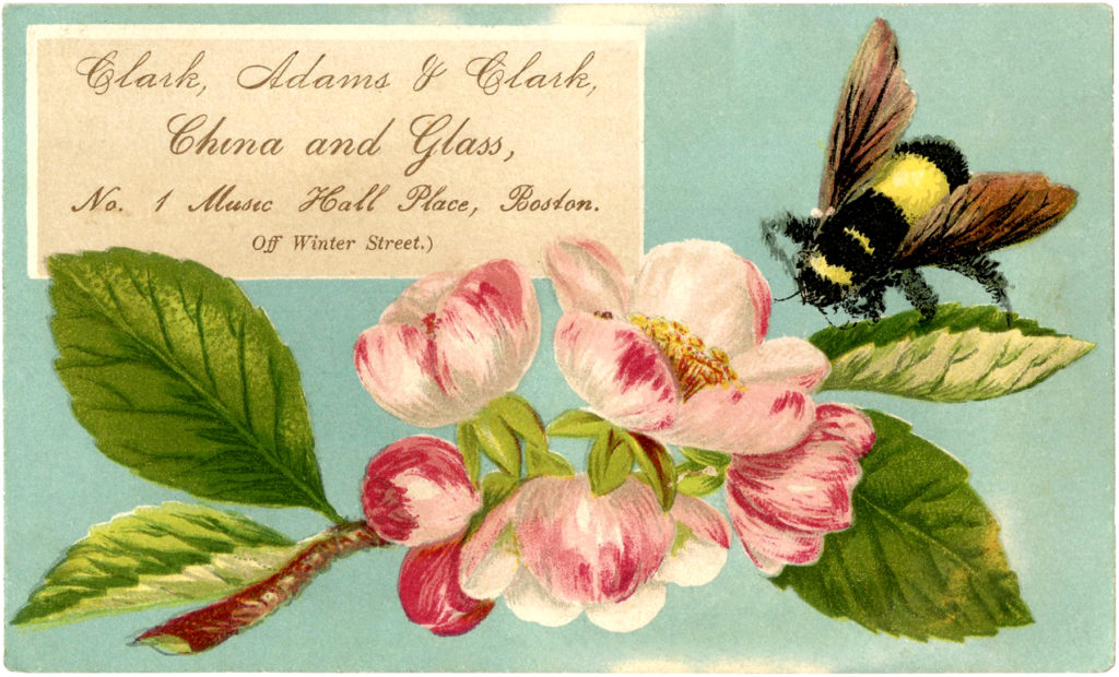 bee flower vintage image