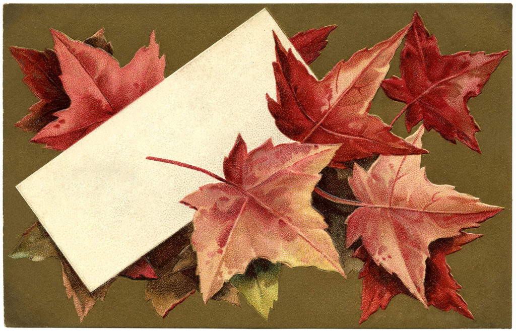 fall leaves label card image