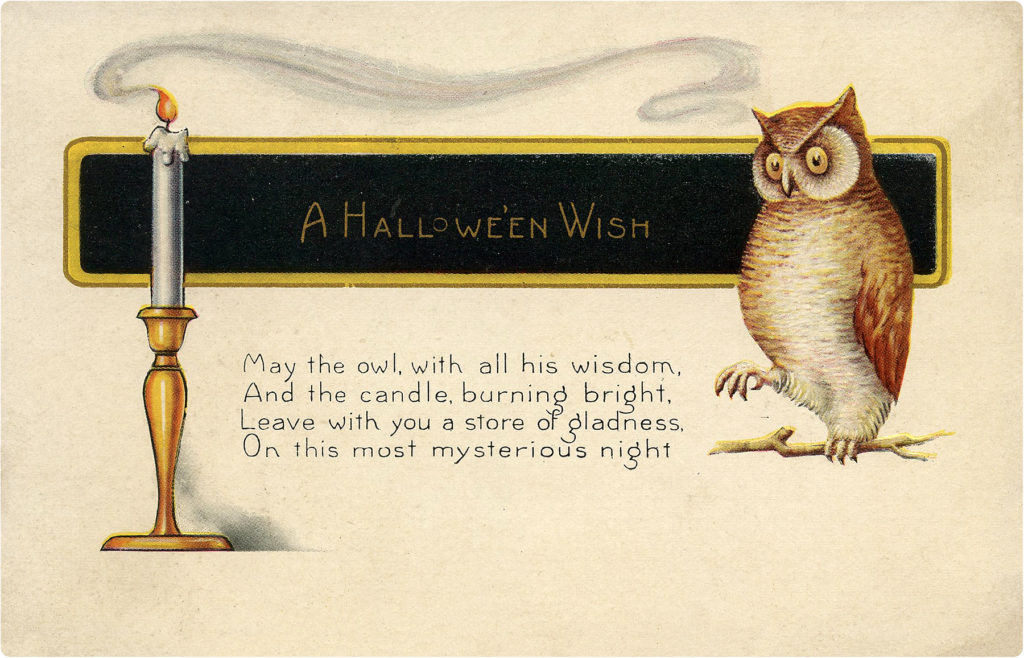 Halloween Owl with Candle Image