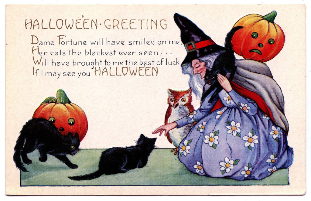 halloween witch cats pumpkins image