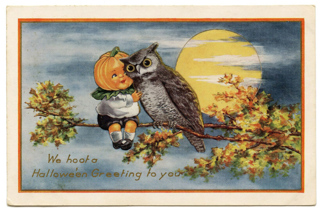 halloween pumpkin head owl moon illustration