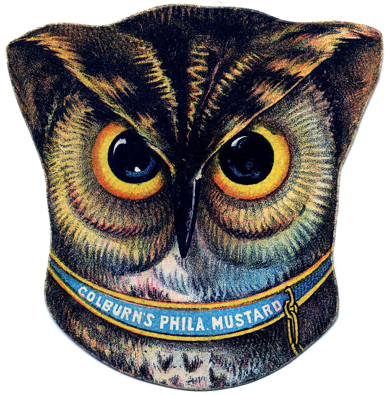Owl Head Vintage Image