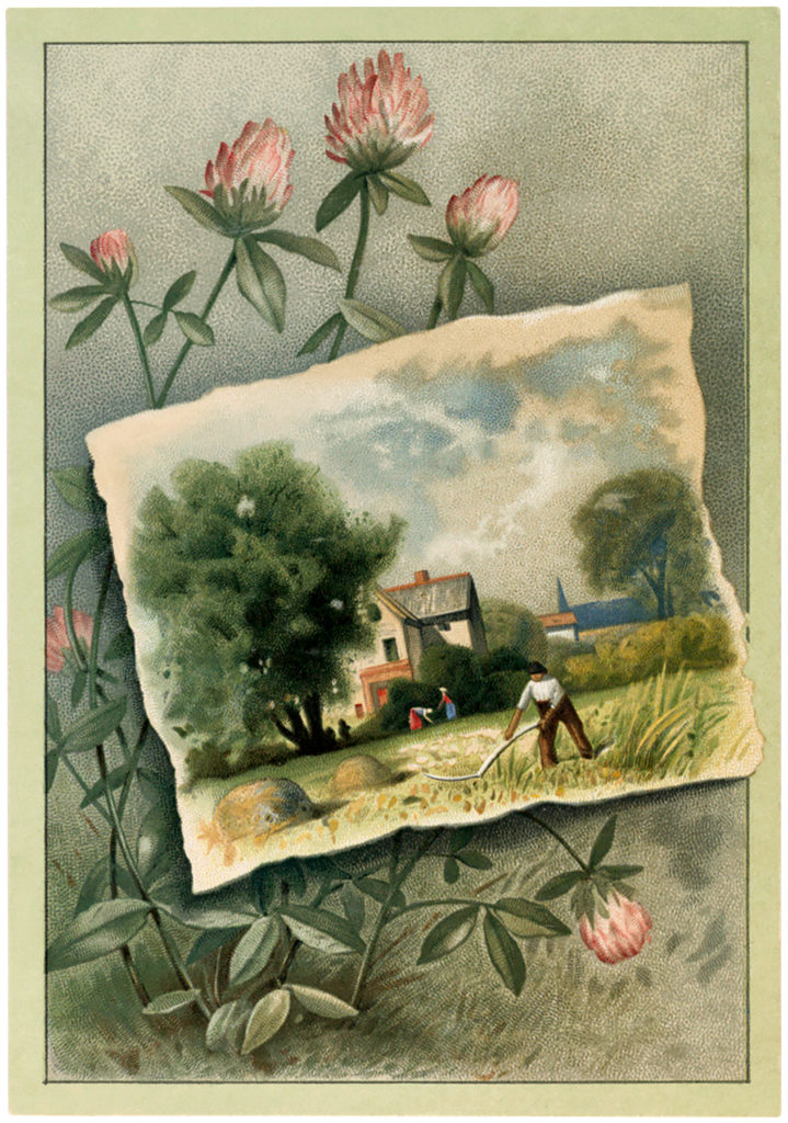 pink clover landscape illustration