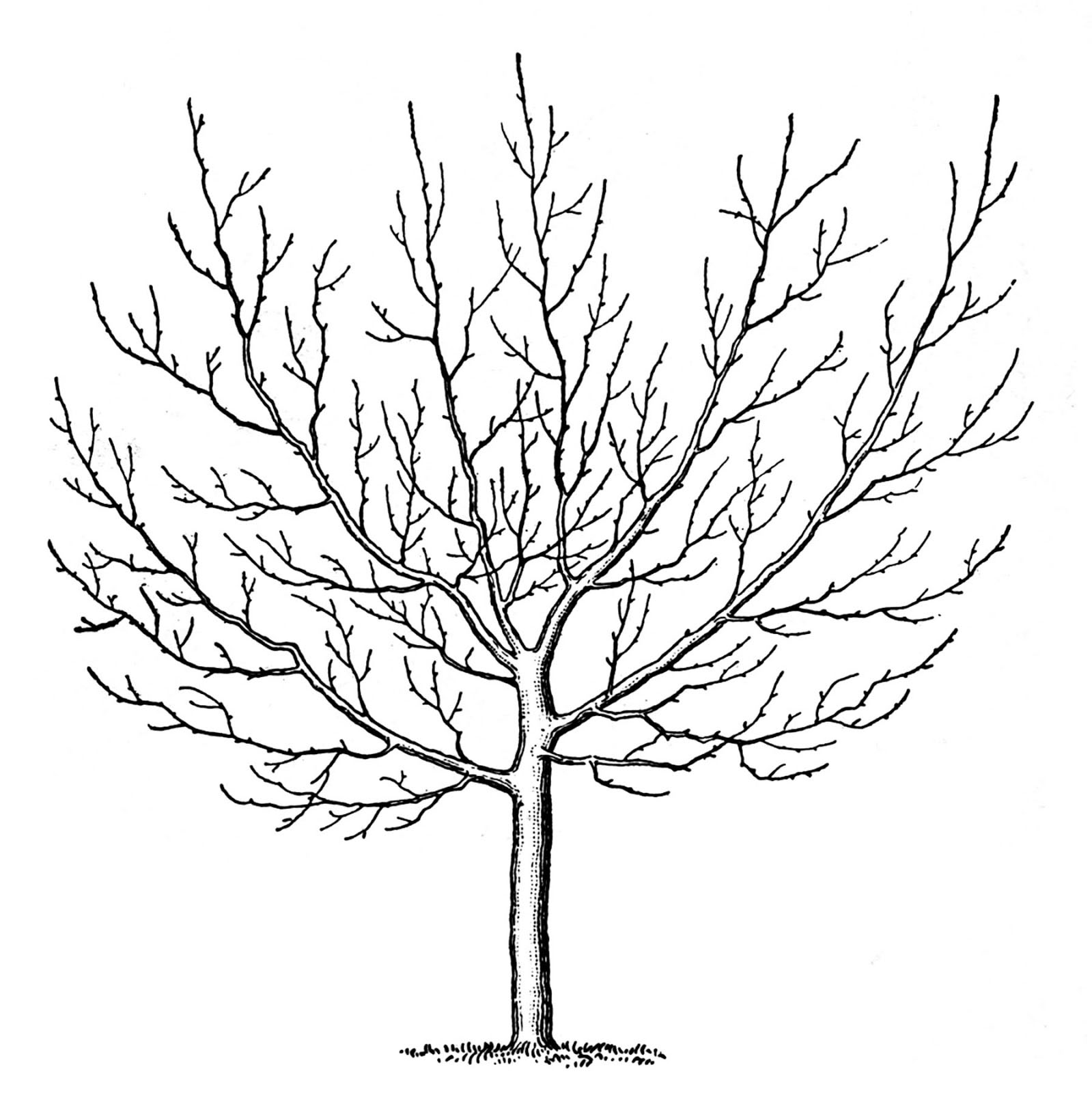 under the tree clipart black and white