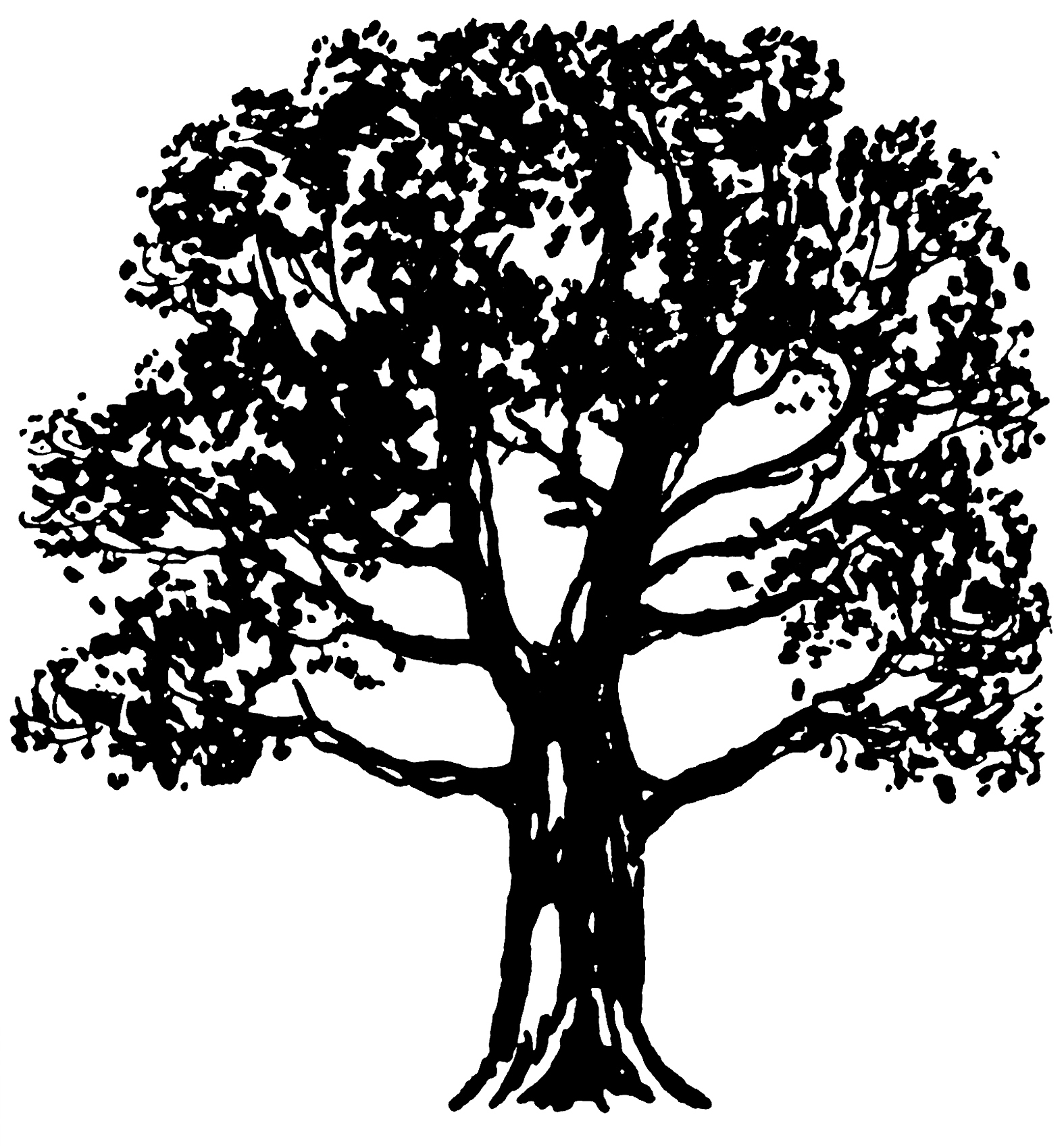 clipart tree black and white