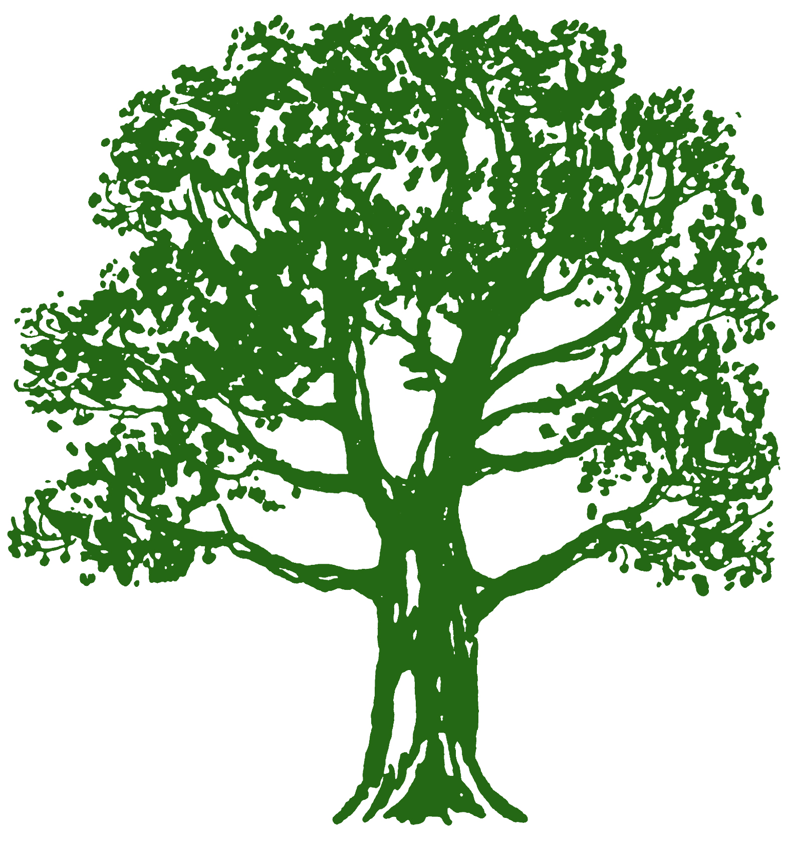 36 Tree Clipart Trees Images Free The Graphics Fairy