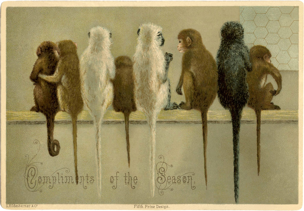 monkeys christmas vintage image