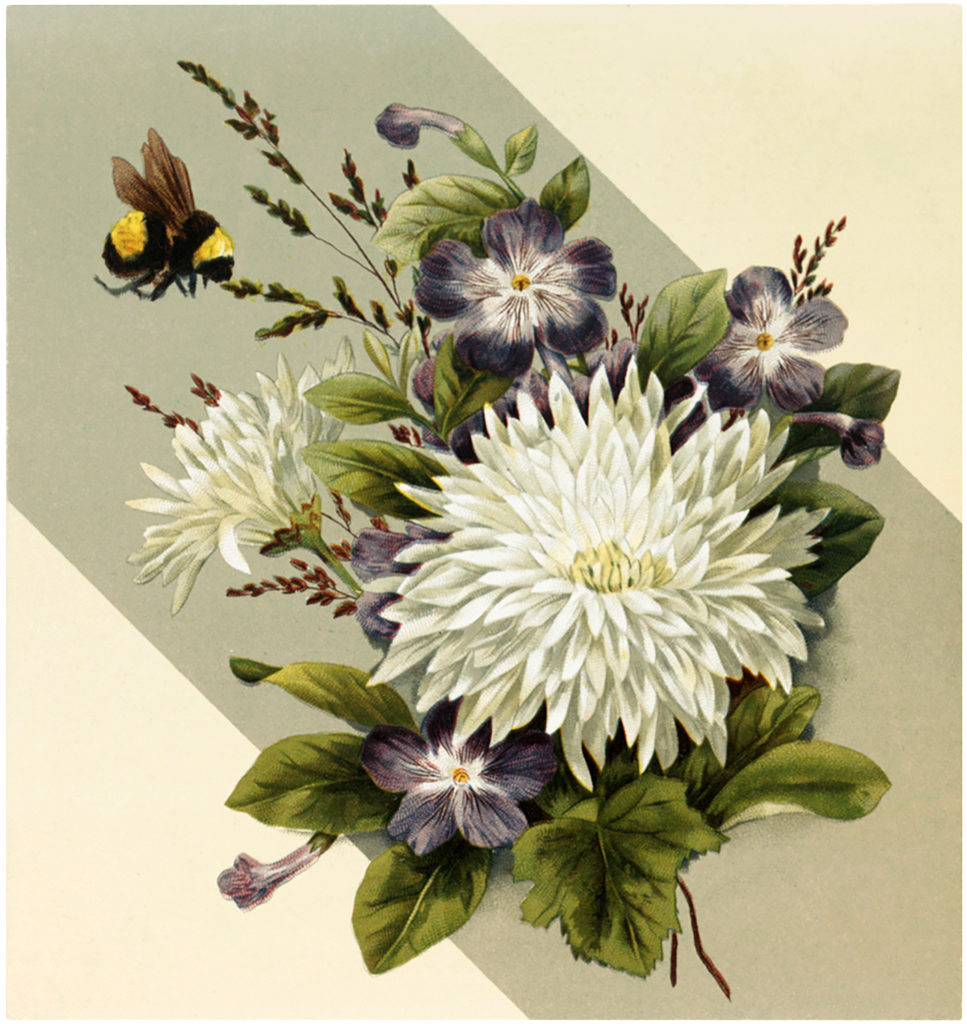 vintage floral bumblebee image