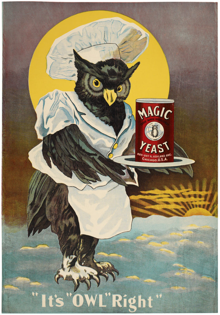 vintage owl ad chef image