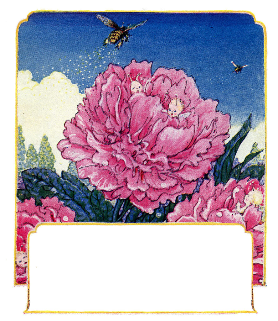 pink flower bee fairies illustration