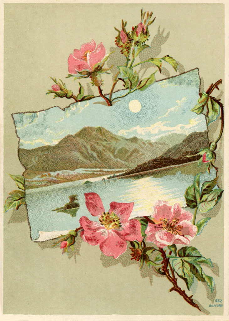 vintage rose frame landscape moon image