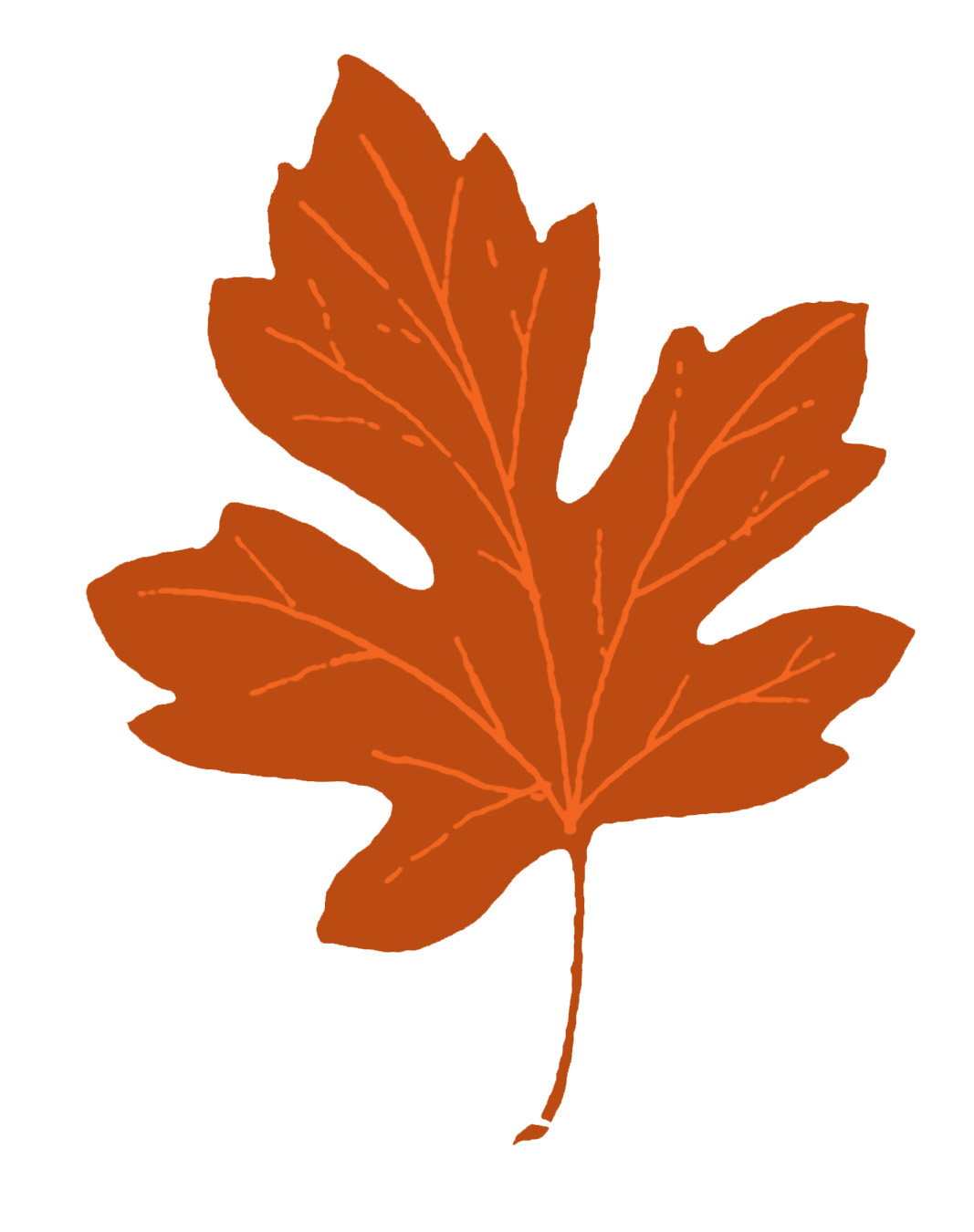 Оранжевый лист дуба