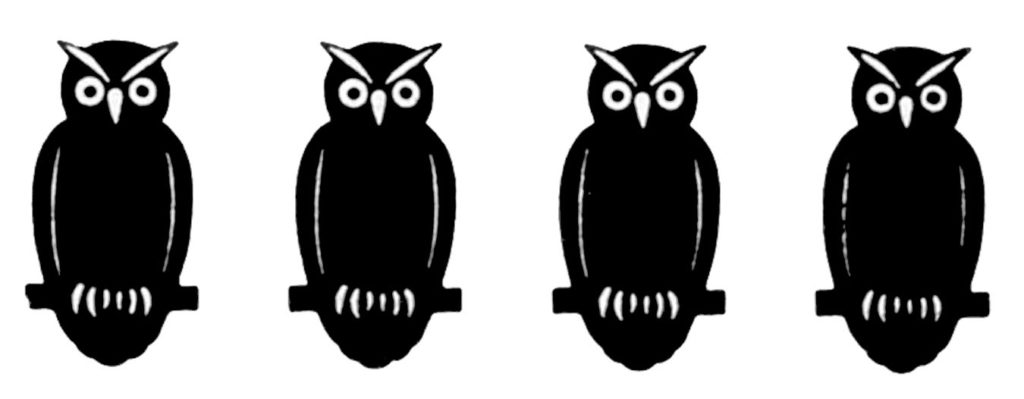 halloween owls black white image