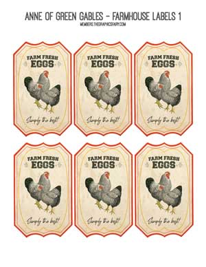 eggs label with chickens