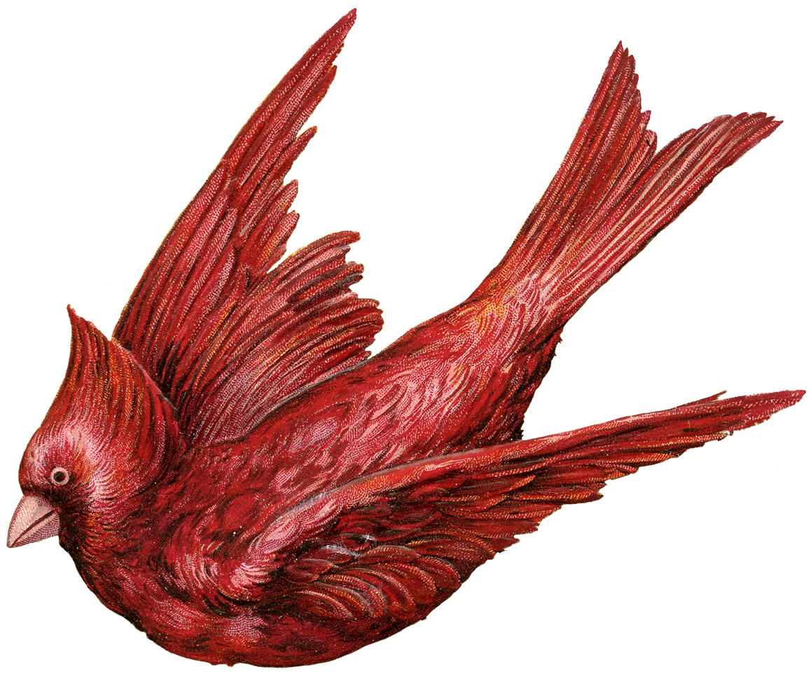 red bird flying clipart