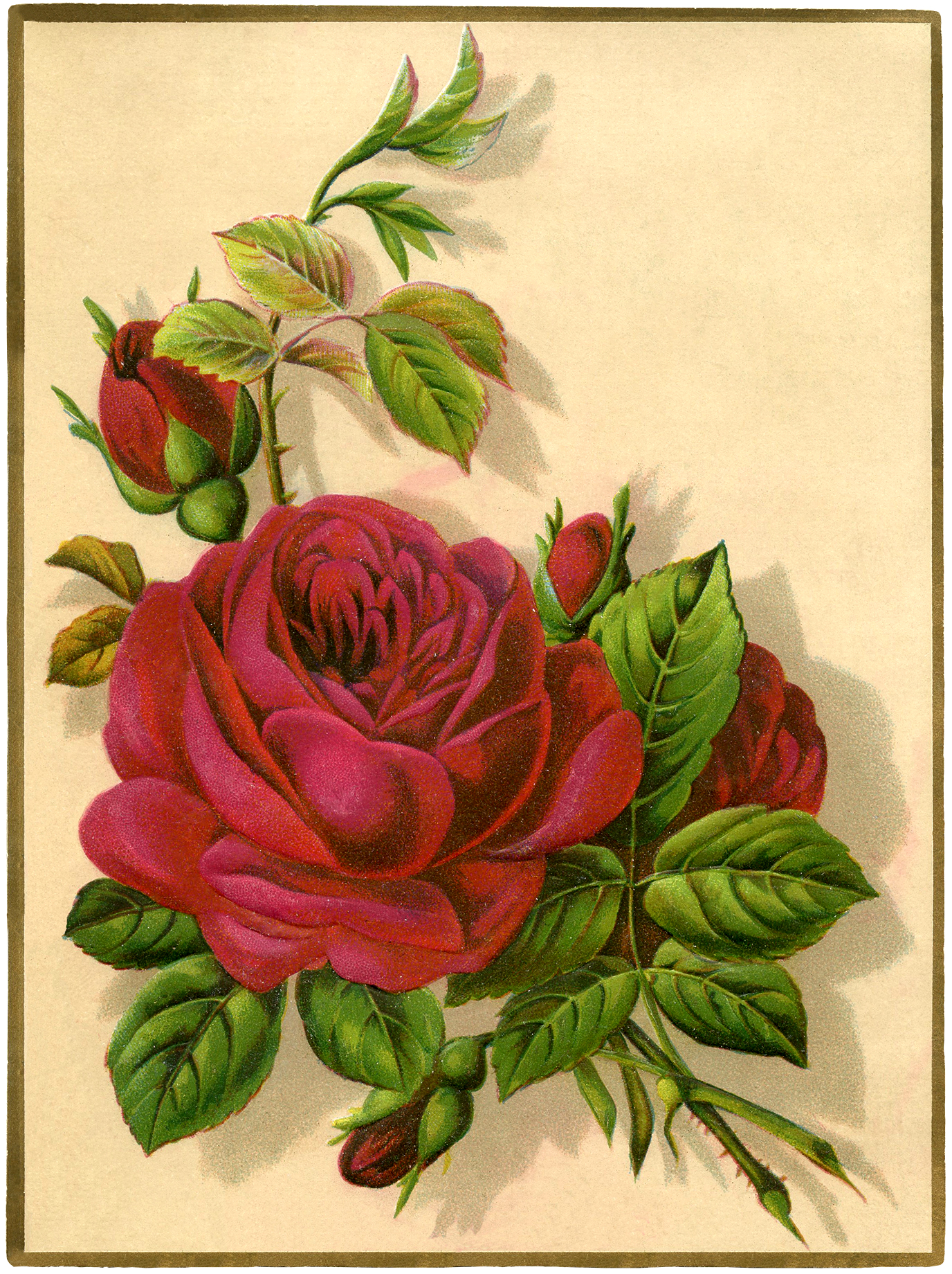 Vintage Red Rose Clip Art