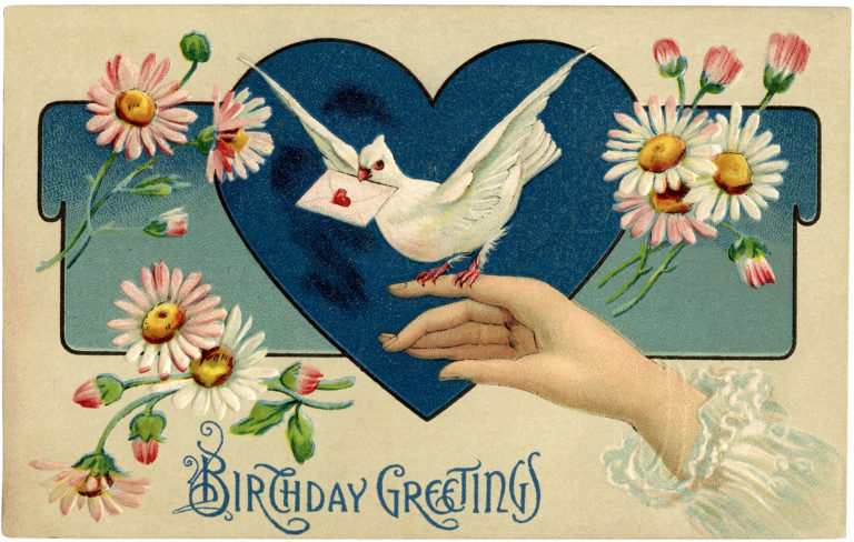 Bird Dove Heart Birthday Illustration