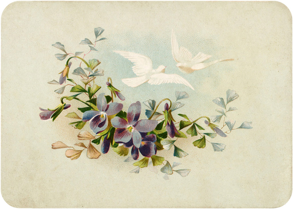 Vintage Violets Birds Sky Image