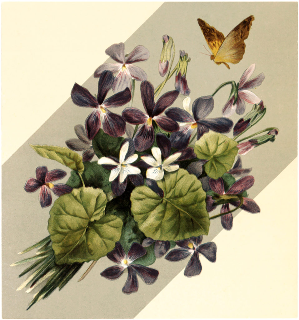 Vintage Violet Bouquet Butterfly Image