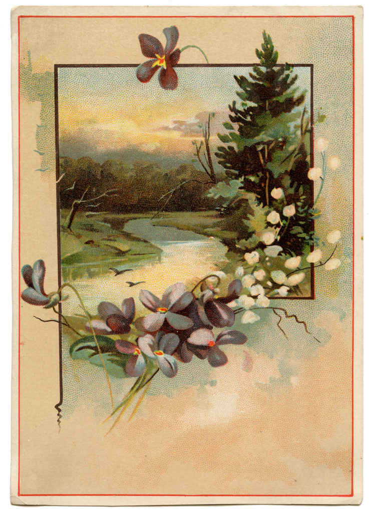 Vintage Violets Landscape Image