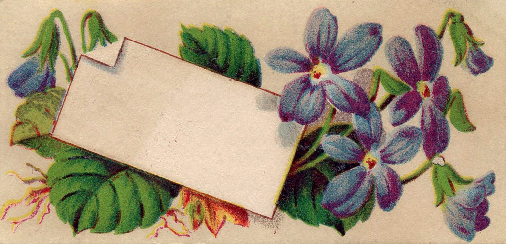 Violets Calling Card Image