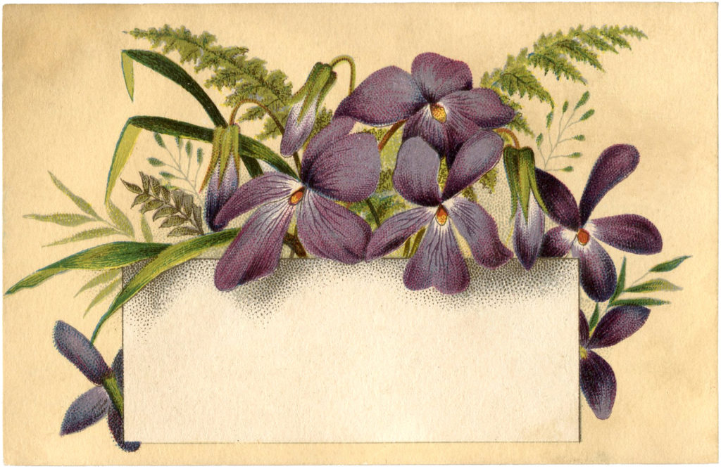 Violets Flowers Label Card Image