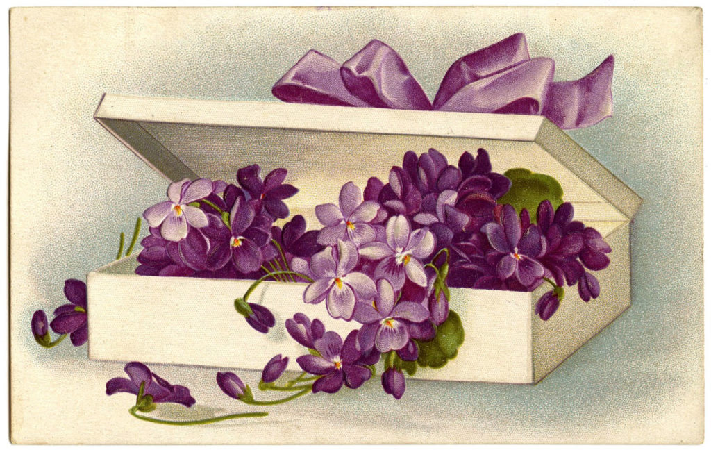 Vintage Violets Box Illustration