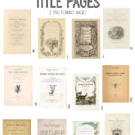 vintage naturalists library digital image bundle