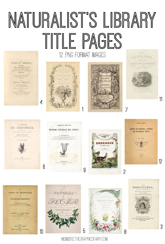 vintage naturalists library digital image bundle
