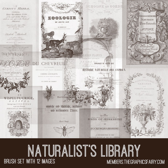 vintage naturalists library brush set