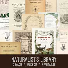 vintage naturalist library bundle