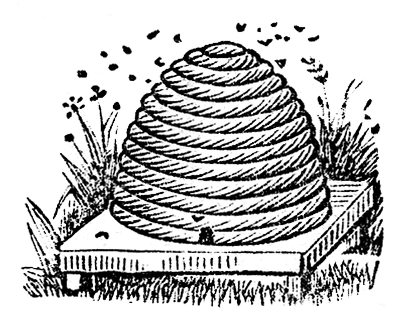beehive clip art black and white