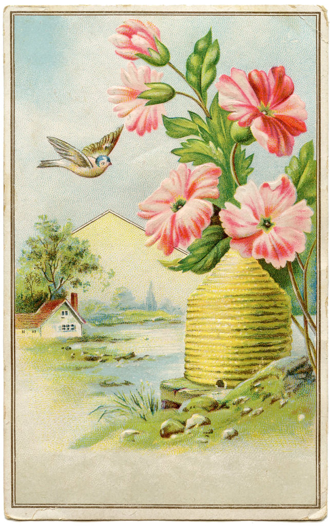 beehive bird vintage image