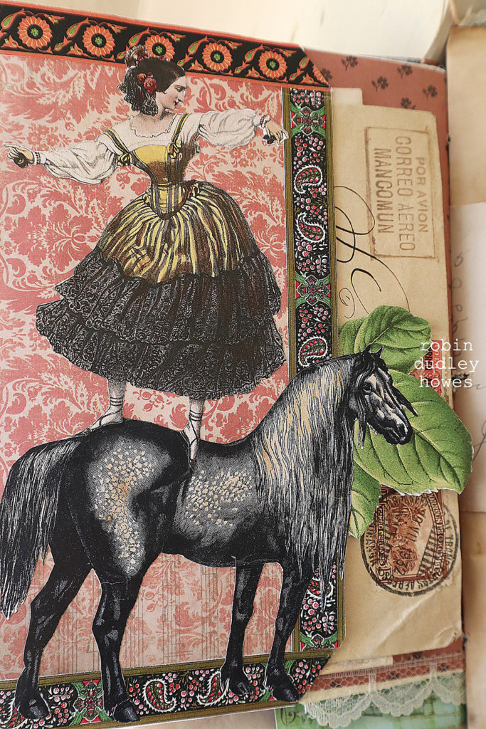 A close up of a horse with a bohemian lady