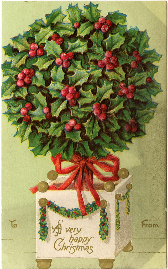 Christmas Holly Topiary Image