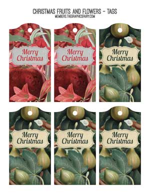 Holiday Fruit and Flowers Collage tags