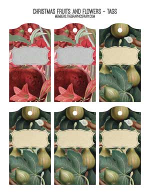 Holiday Fruit and Flowers Collage