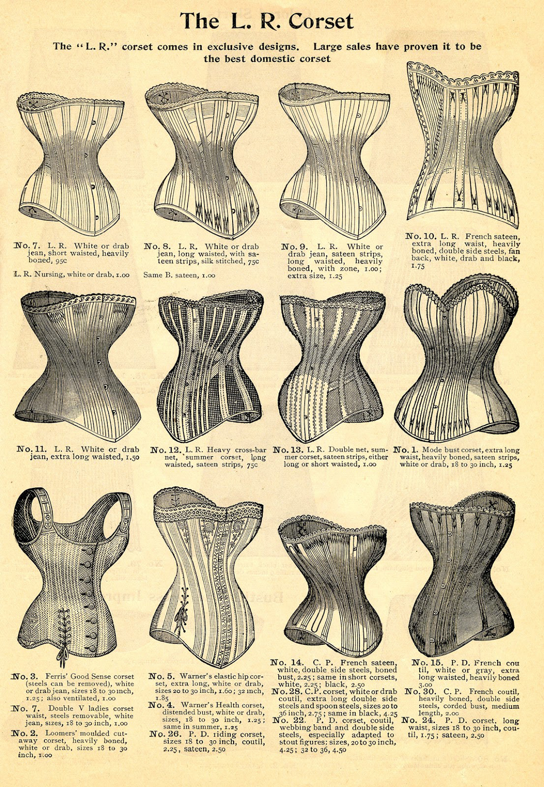 Vintage Victorian Corset Pattern with Sheet Music Art Print for