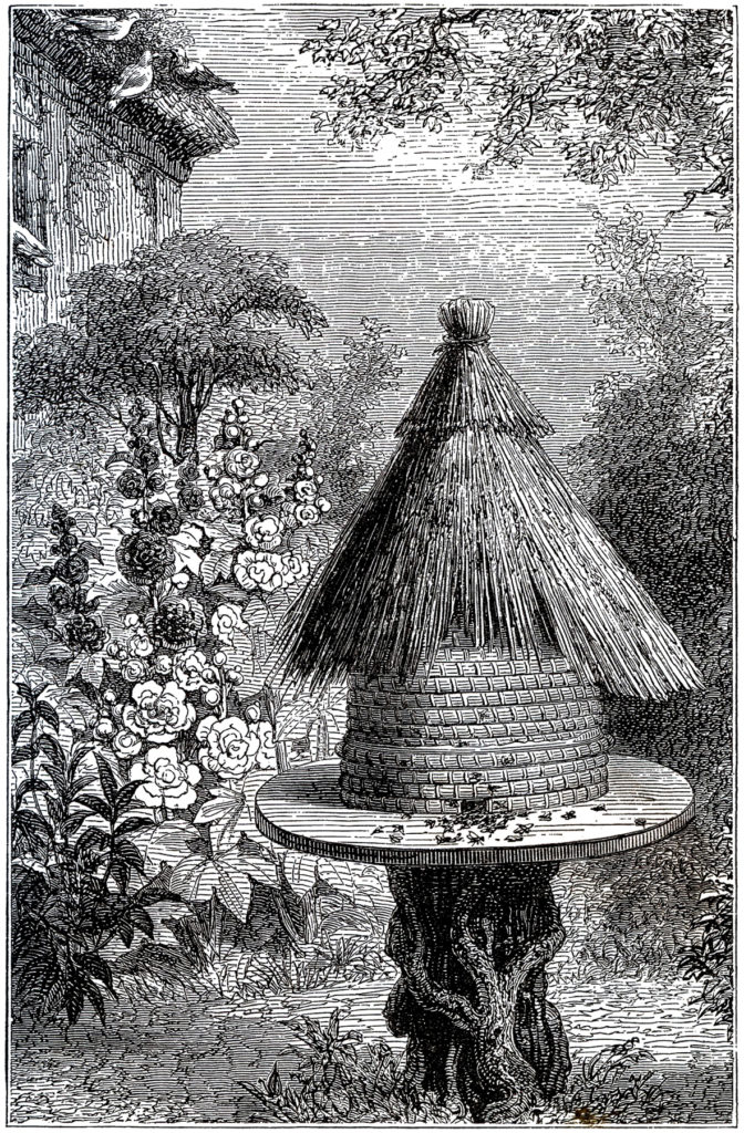 early beehive garden image