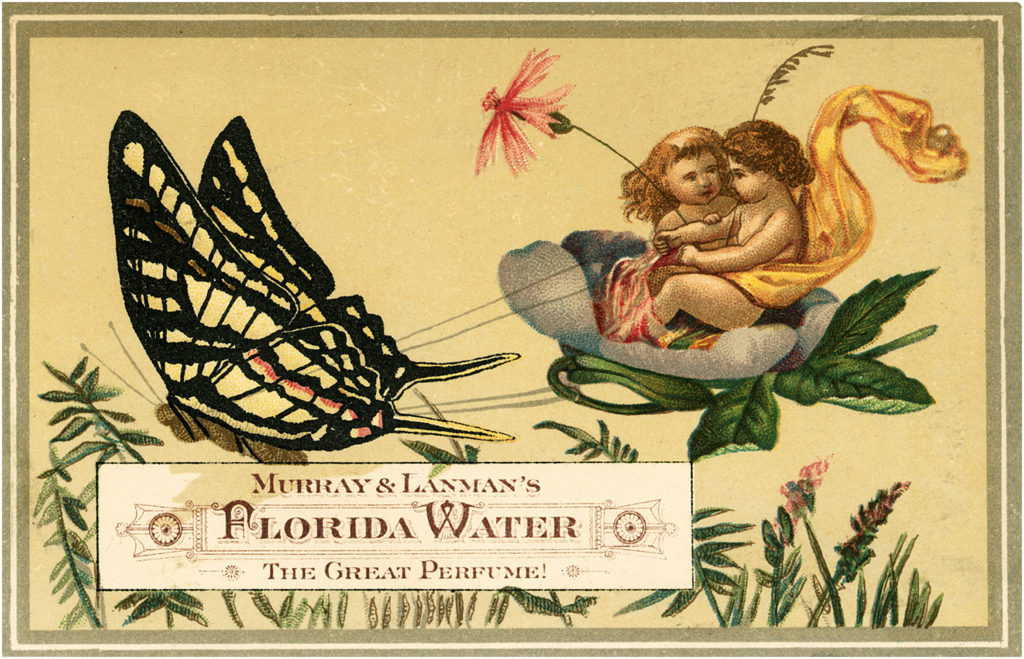 Fairies Butterfly Vintage Illustration