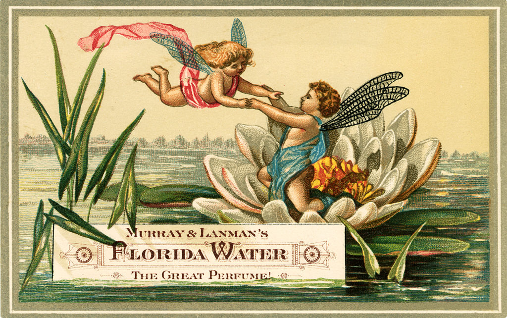 Fairies Water Lily Advertising Image