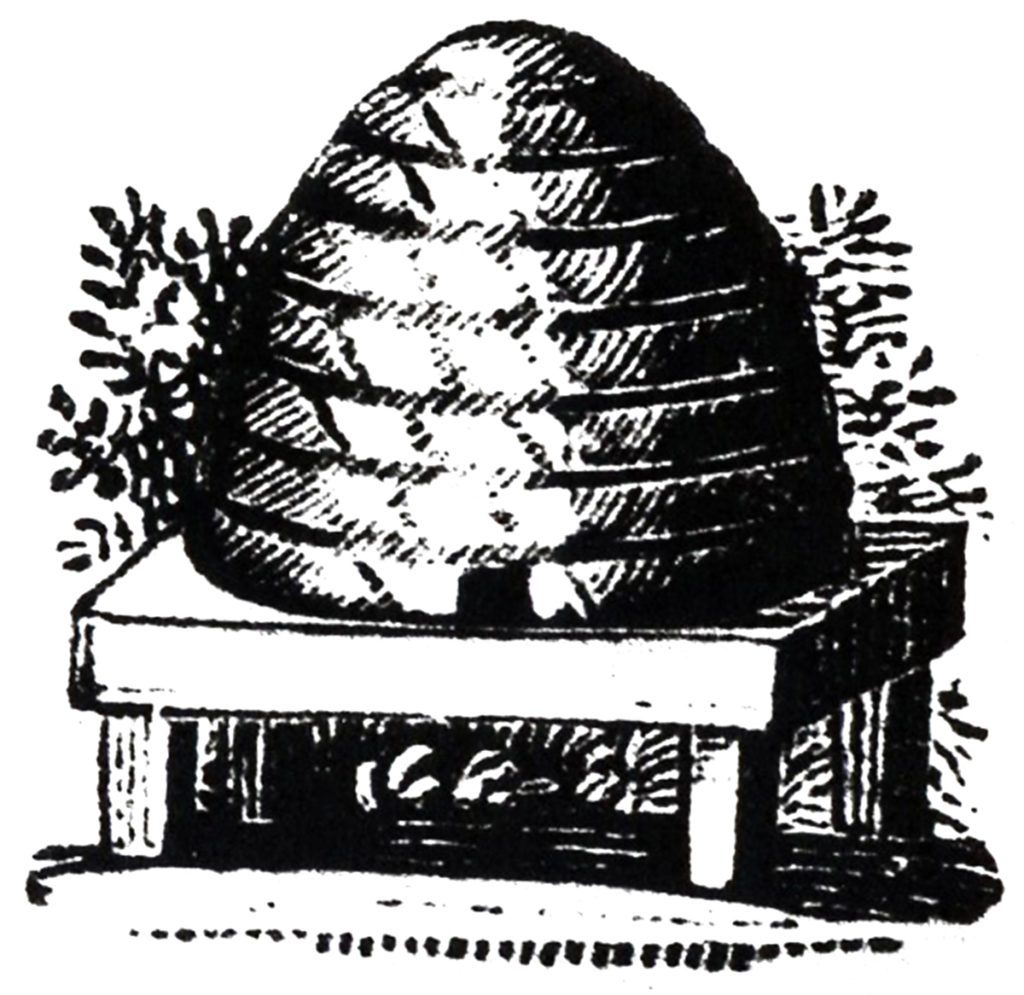 Primitive Beehive Image