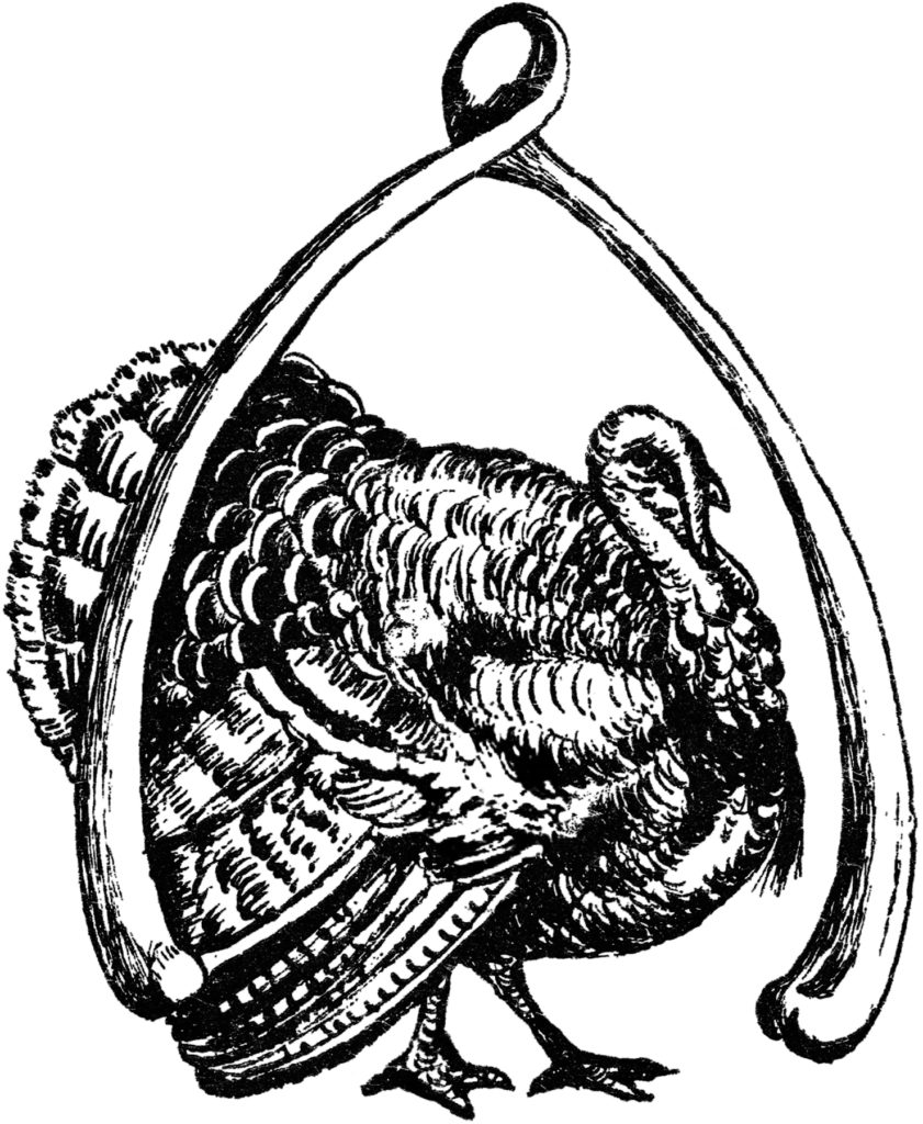 Vintage Turkey Wishbone black white clipart
