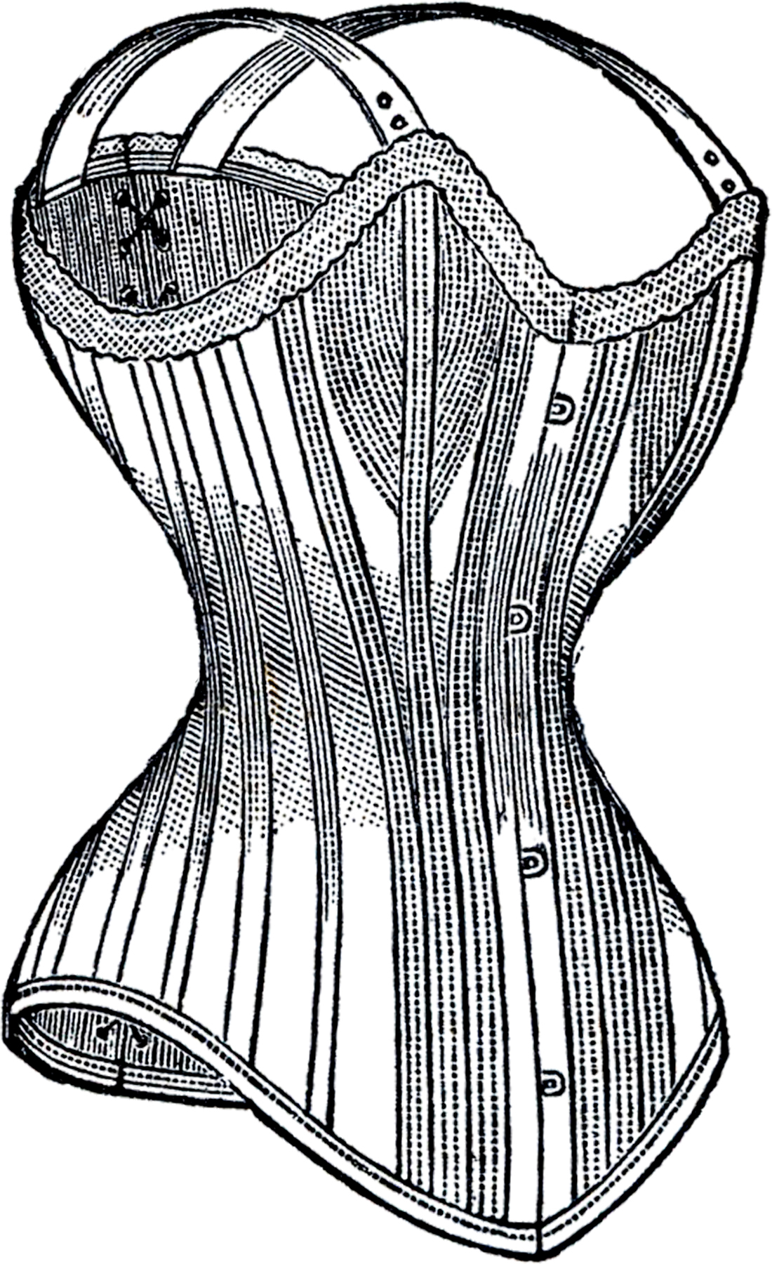 Clipart Corset  Free Images at  - vector clip art online, royalty  free & public domain