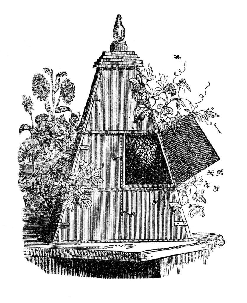 wood beehive image