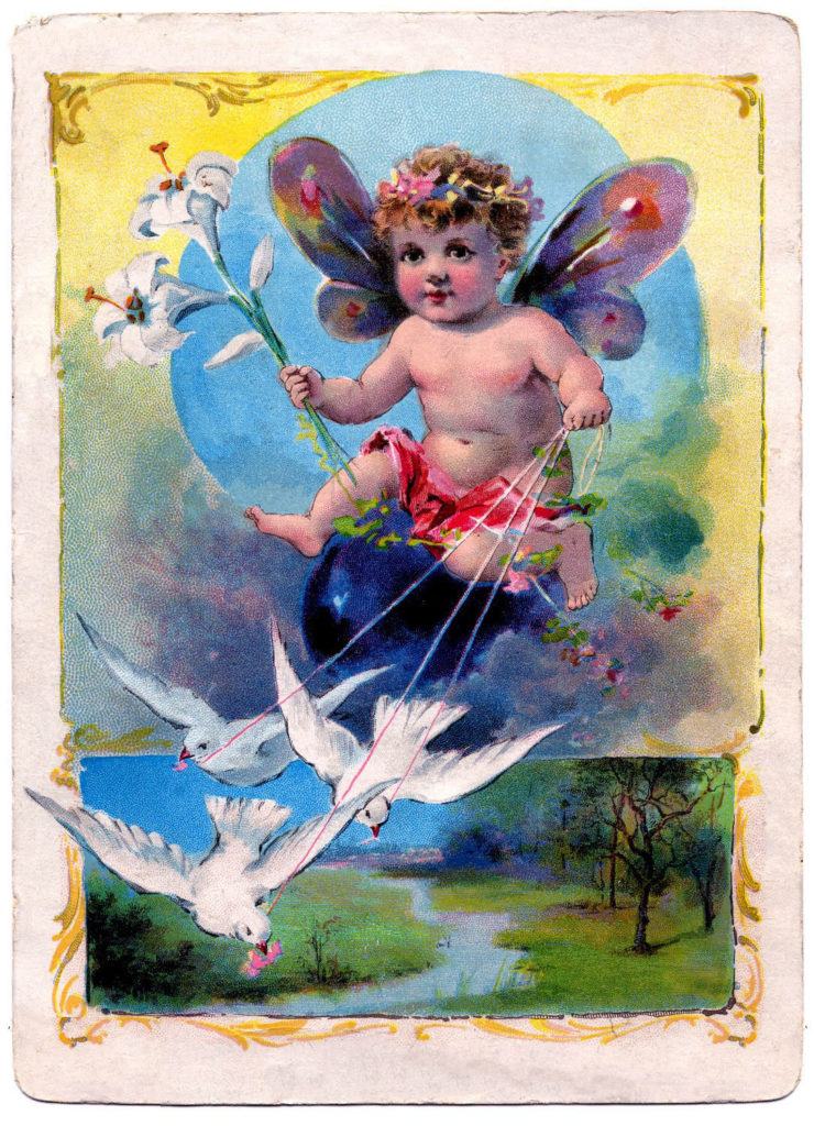 Baby Fairy Birds Vintage Image