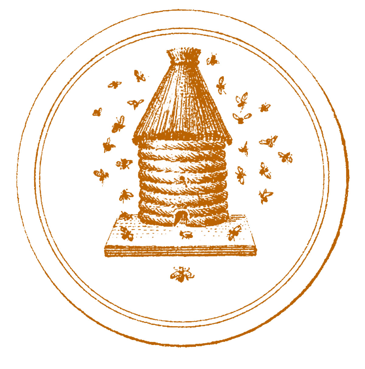 Beehive Illustration