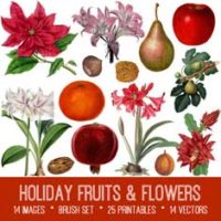 vintage holiday fruits & flowers ephemera bundle